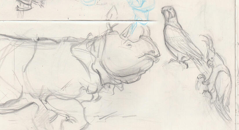 Animals